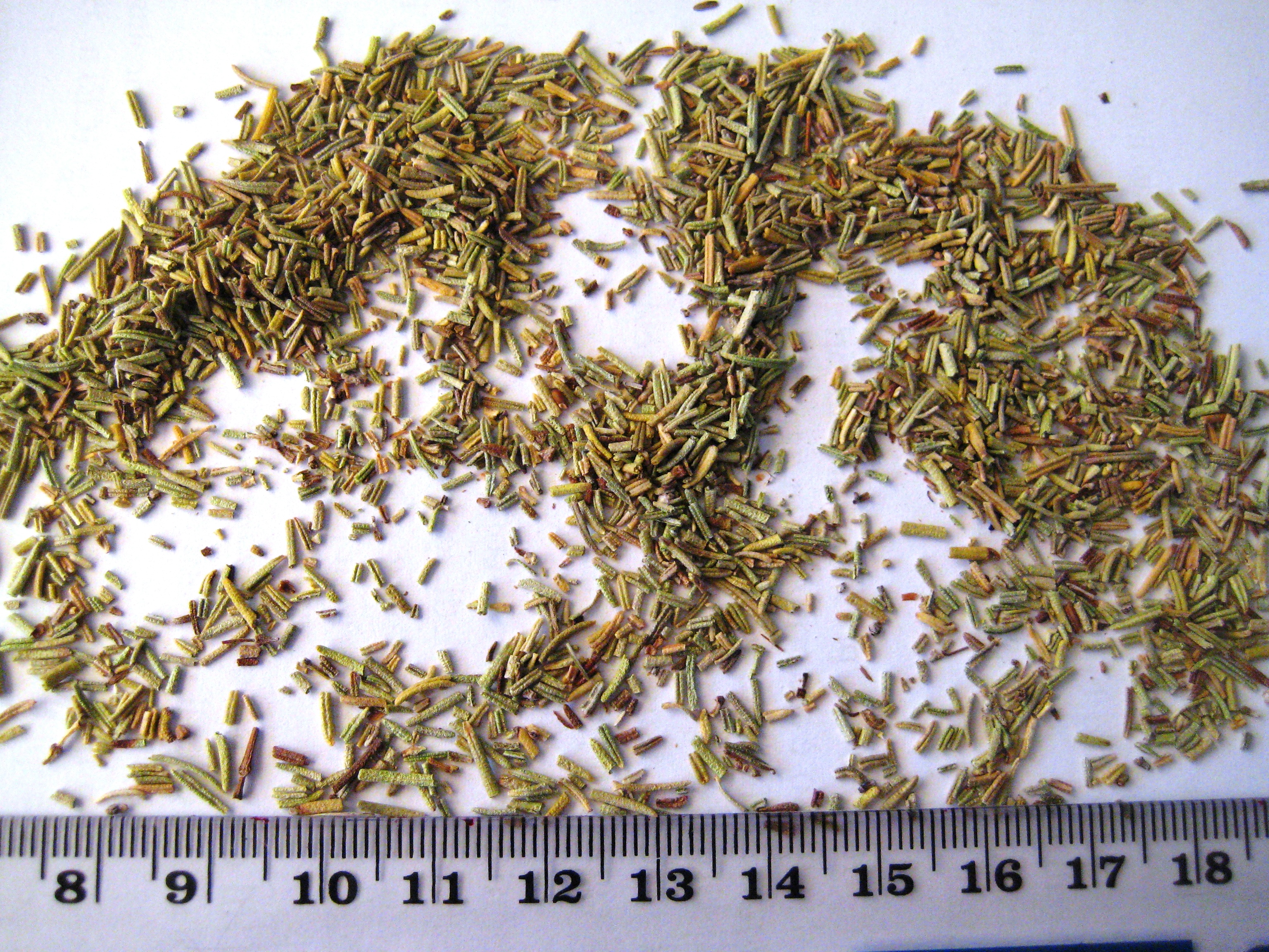 Rosmarino 1-2mm (4)